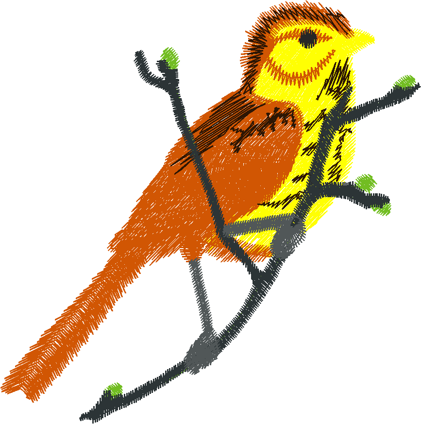 Birds 17 (15)