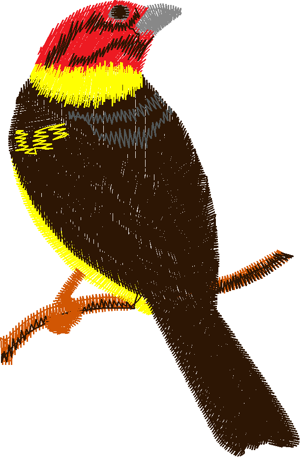 Birds 17 (18)