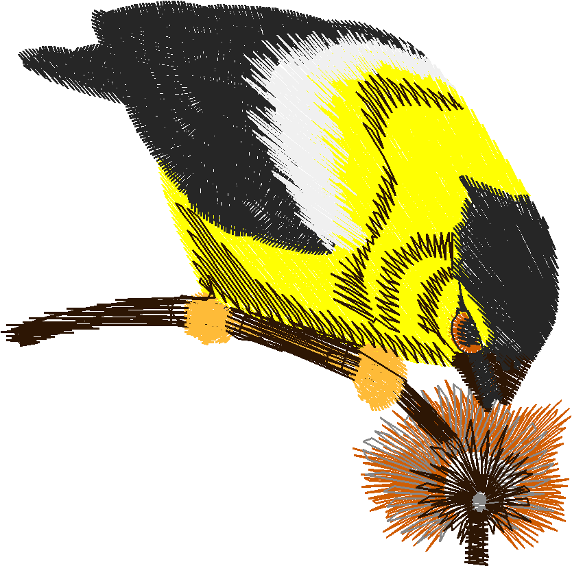 Birds 17 (4)
