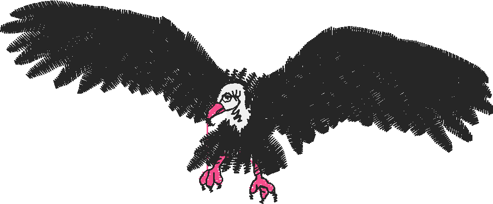 Birds 18 (18)