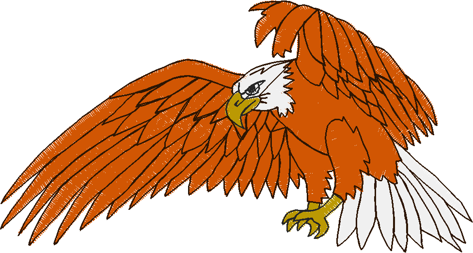 Birds 18 (2)