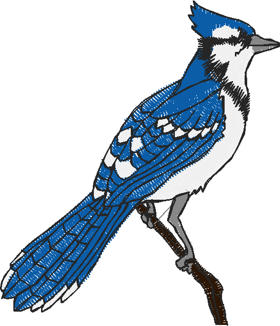 Birds 18 (3)