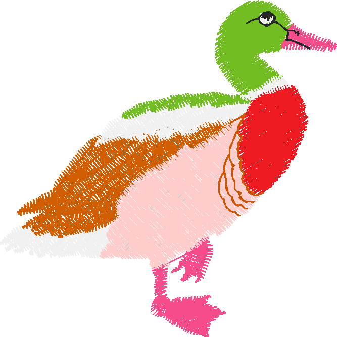 Birds 18 (4)