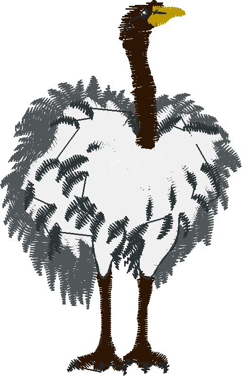 Birds 18 (5)