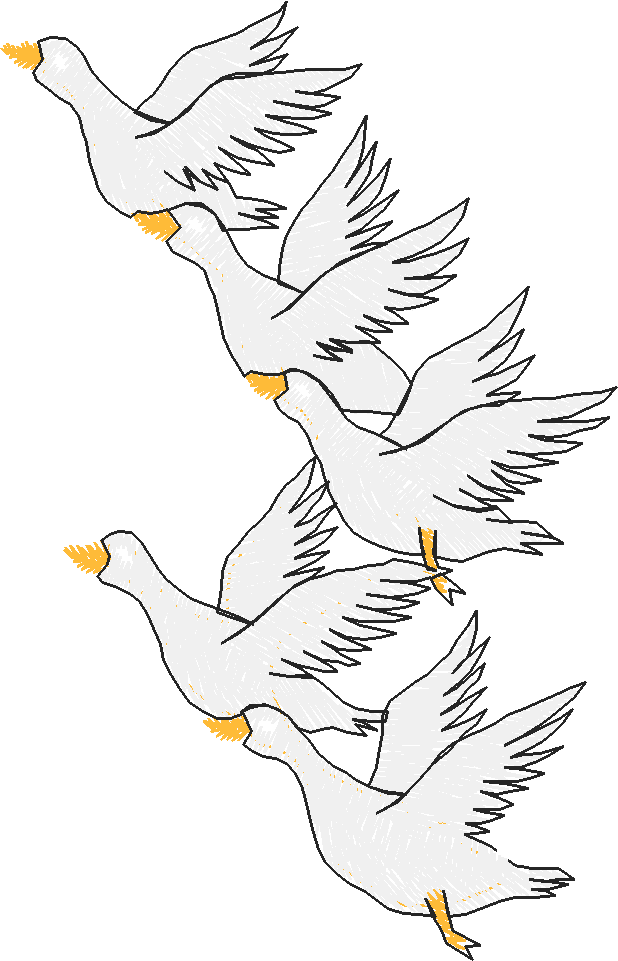 Birds 19 (14)