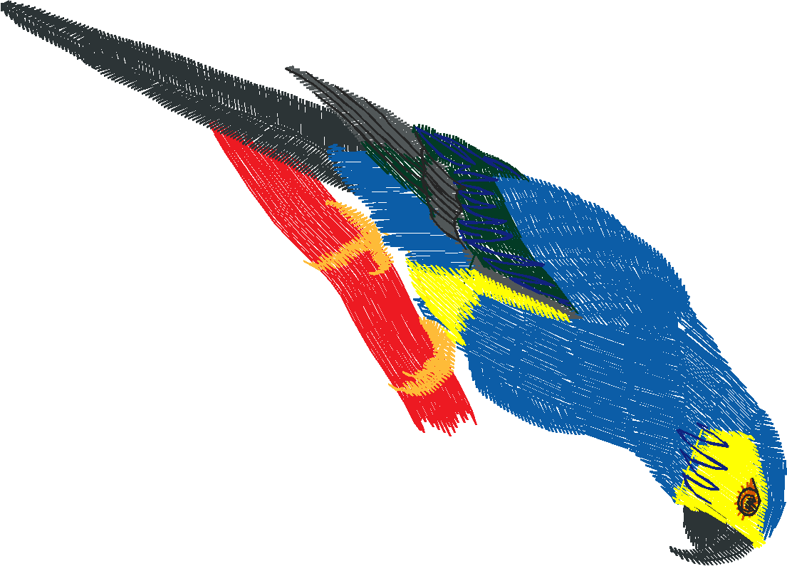 Birds 19 (20)