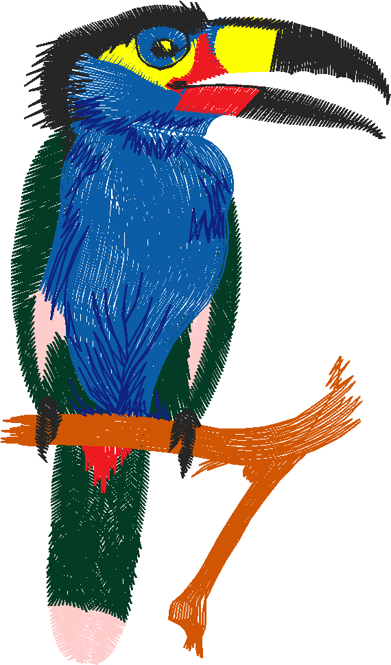 Birds 19 (21)
