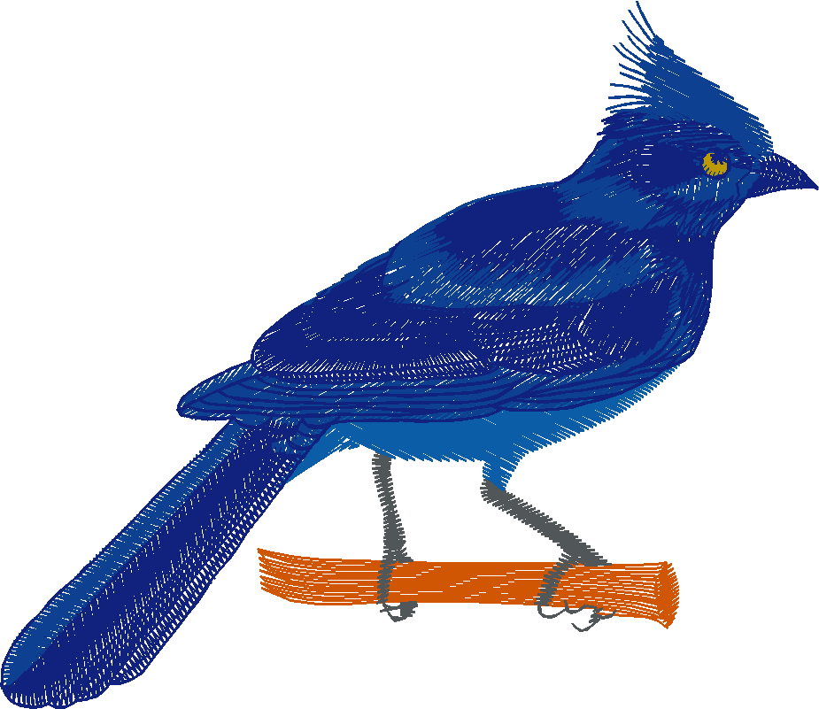 Birds 19 (23)
