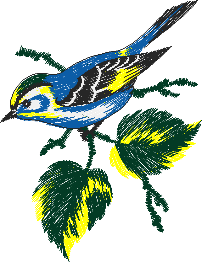 Birds 19 (27)