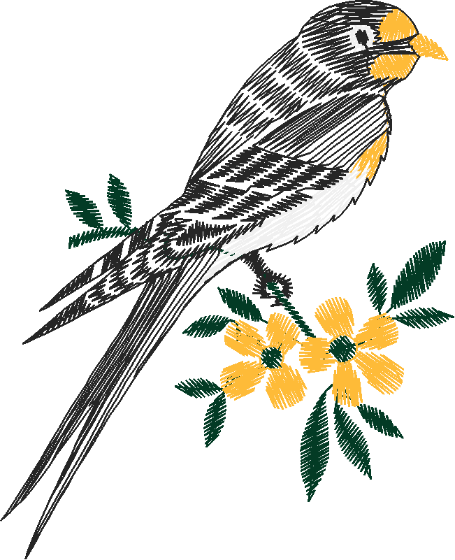 Birds 19 (29)