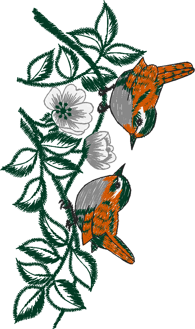 Birds 19 (30)