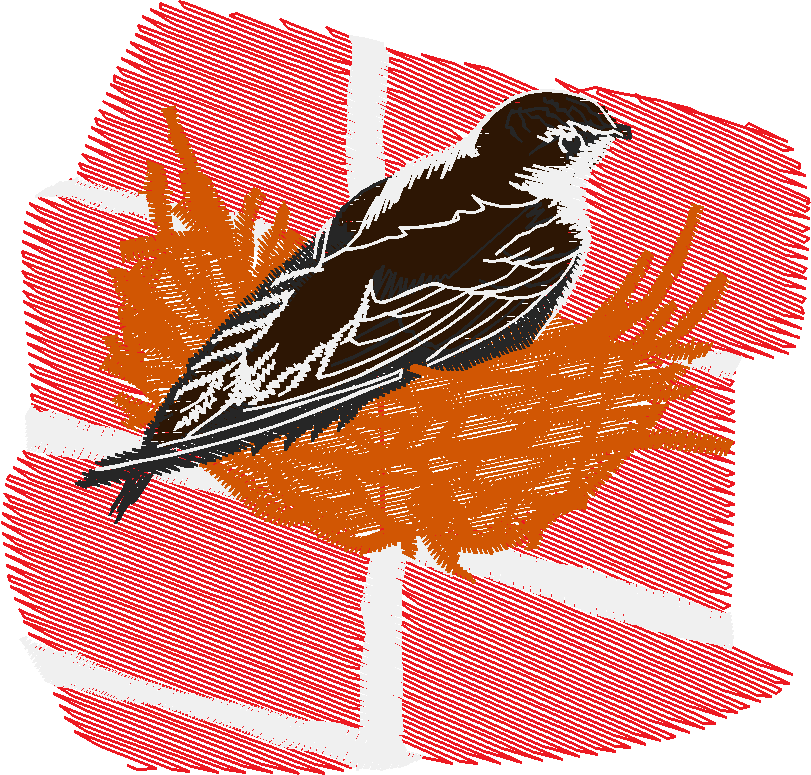 Birds 19 (49)