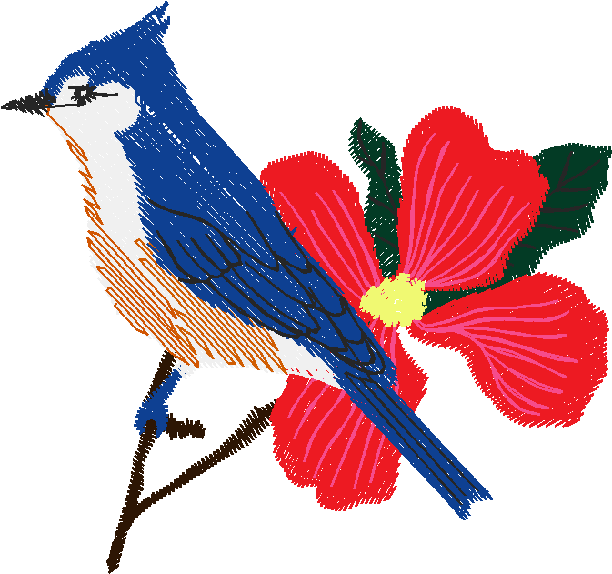 Birds 19 (50)