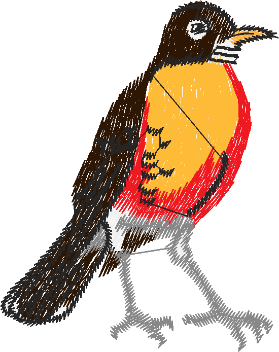 Birds 19 (53)