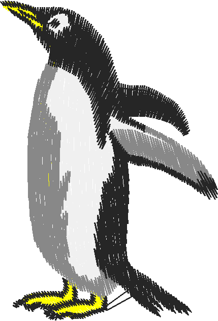 Birds 19 (55)