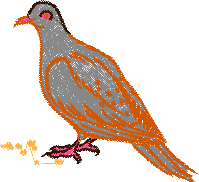 Birds 19 (60)