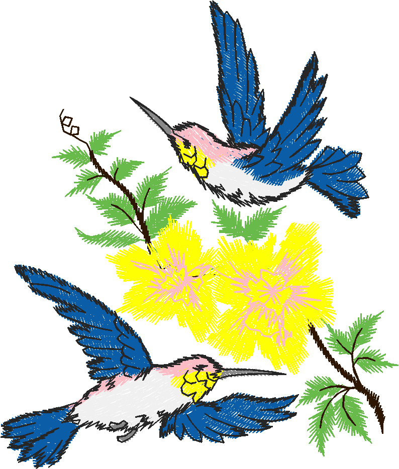 Birds 19 (64)