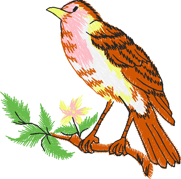 Birds 19 (66)