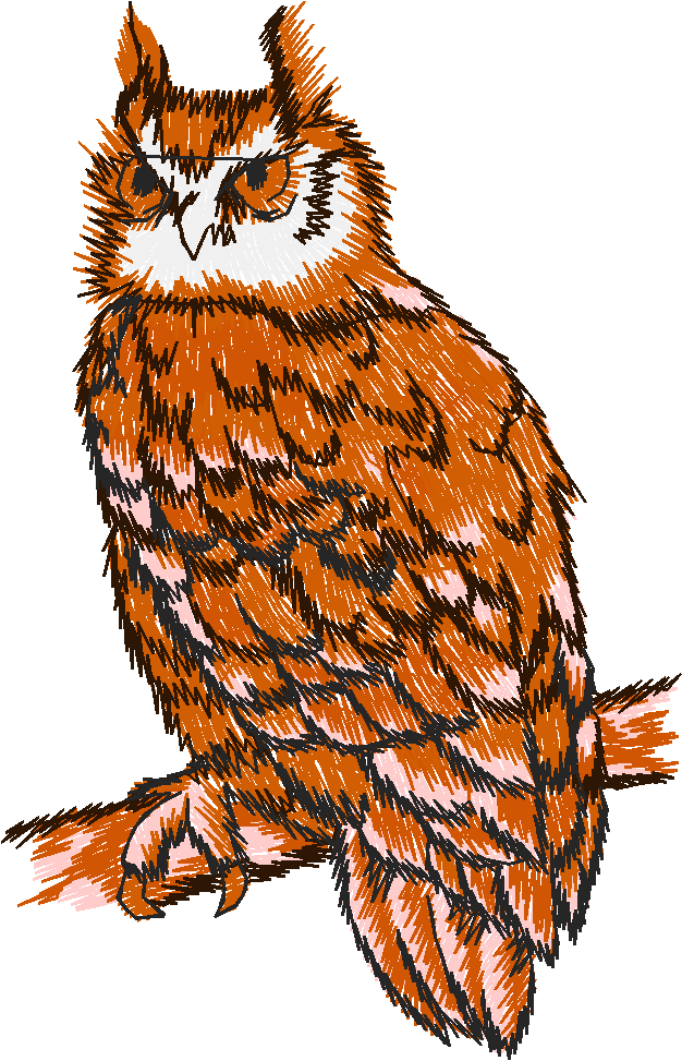 Birds 19 (71)