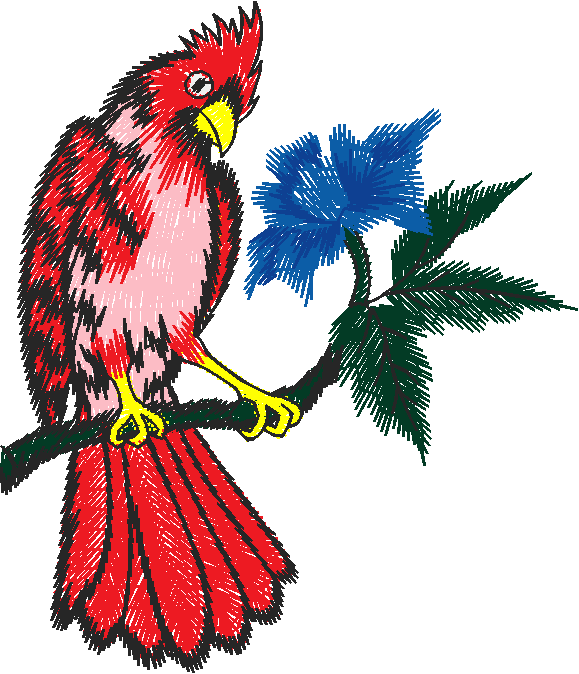 Birds 19 (80)
