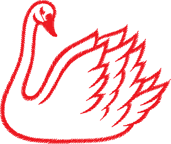 Birds 19 (85)