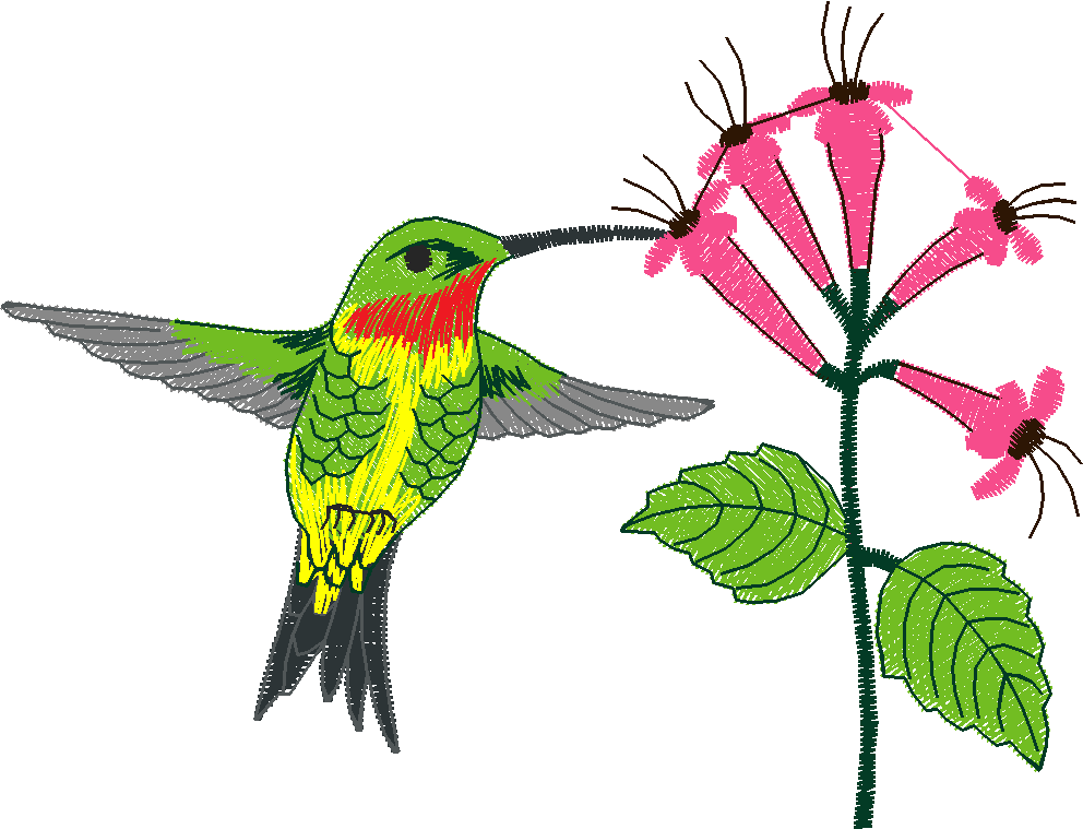 Birds 2 (1)