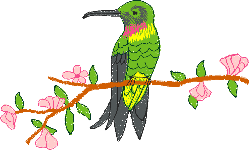 Birds 2 (10)
