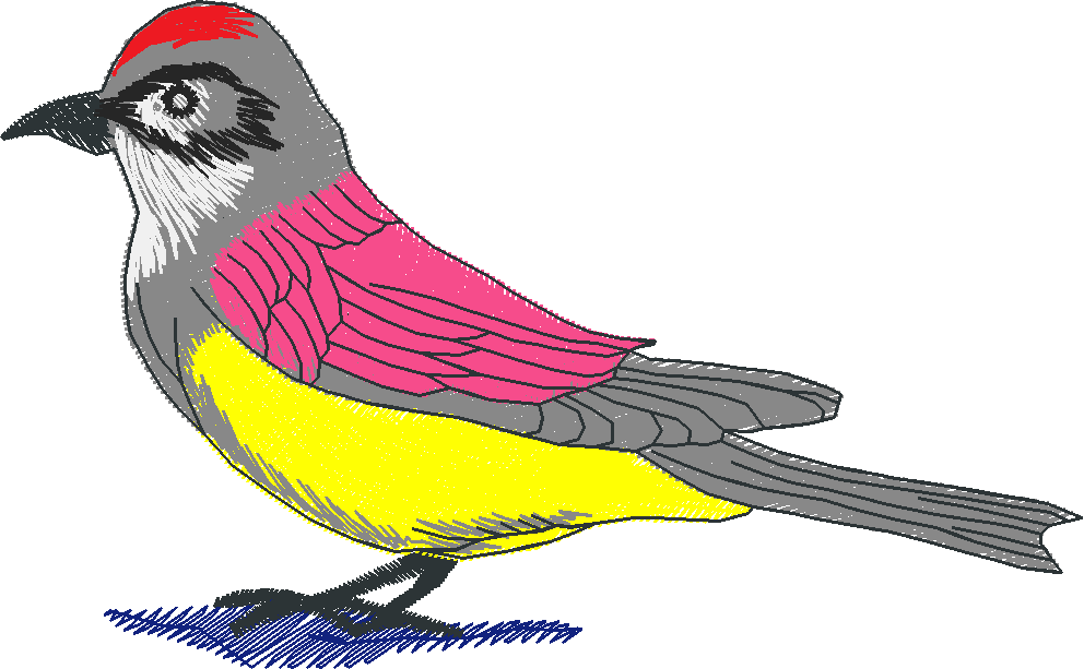 Birds 2 (18)