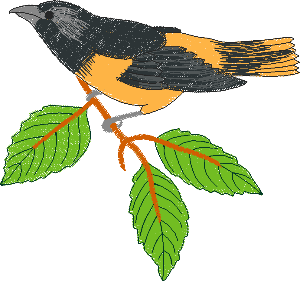 Birds 2 (5)