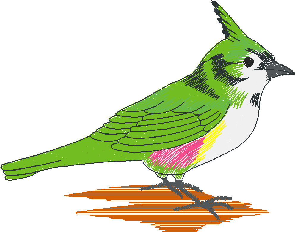 Birds 2 (7)