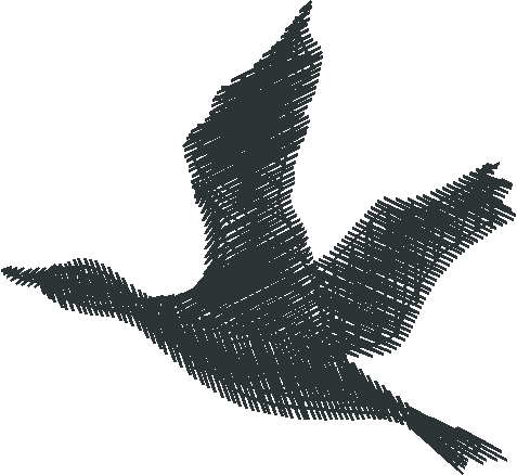 Birds 20 (10)