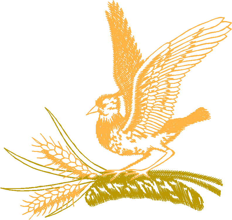 Birds 20 (18)