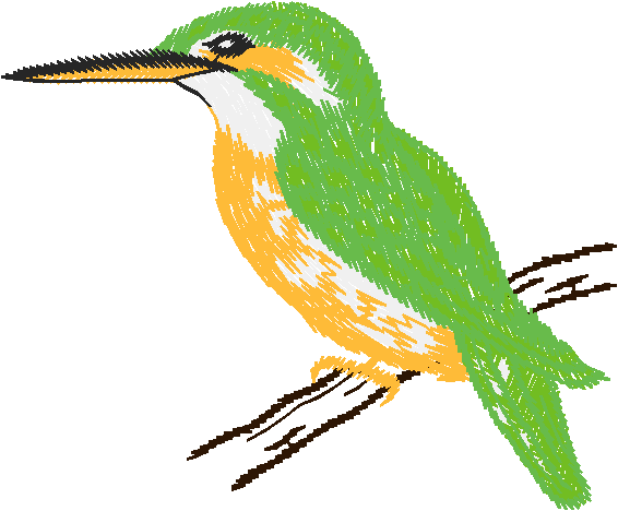 Birds 20 (20)