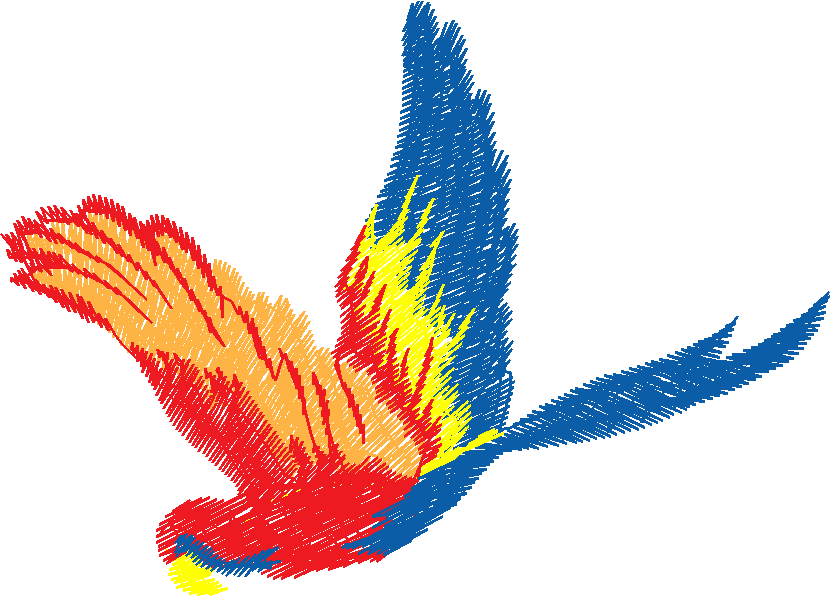 Birds 20 (22)