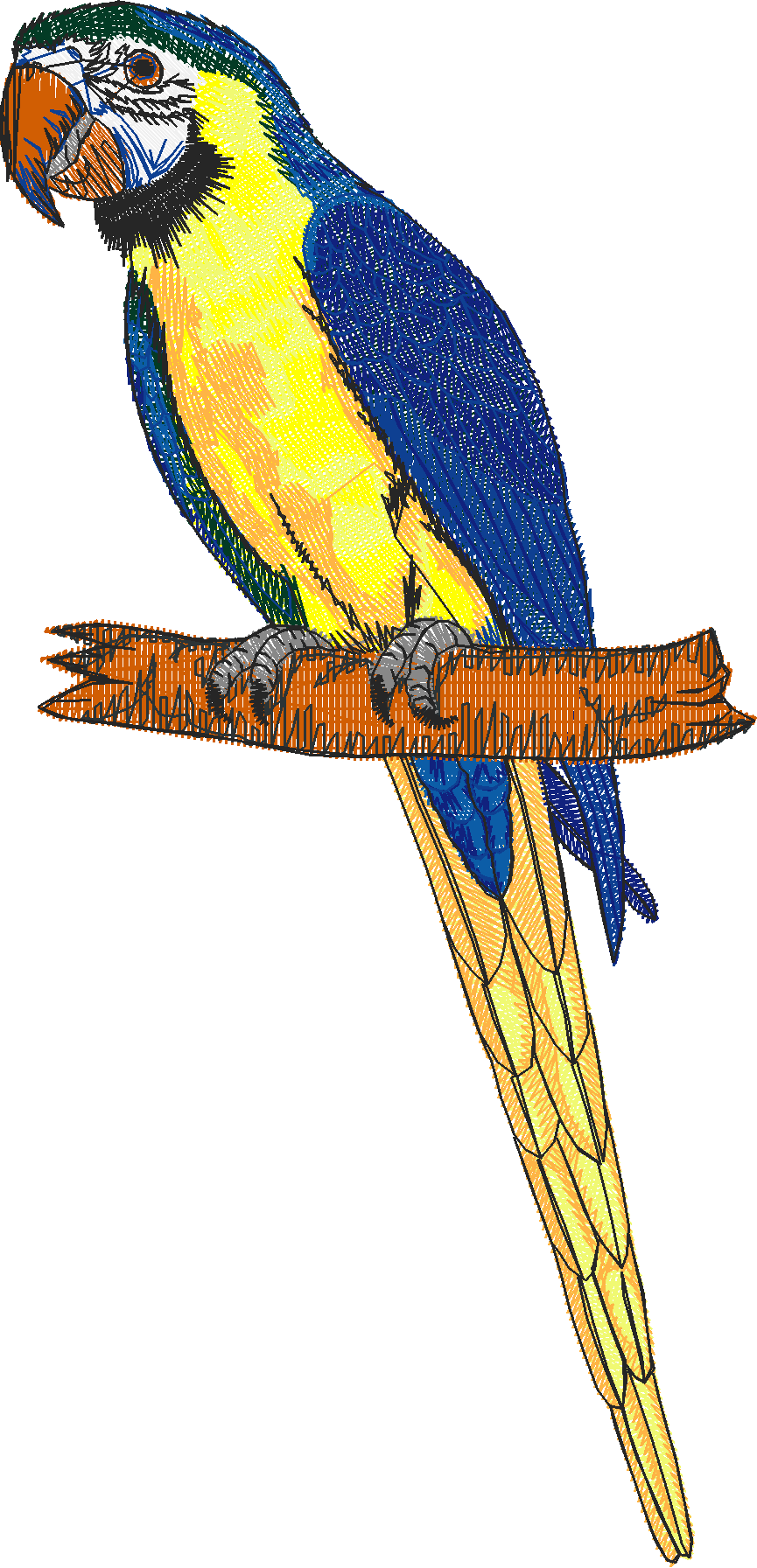 Birds 20 (31)