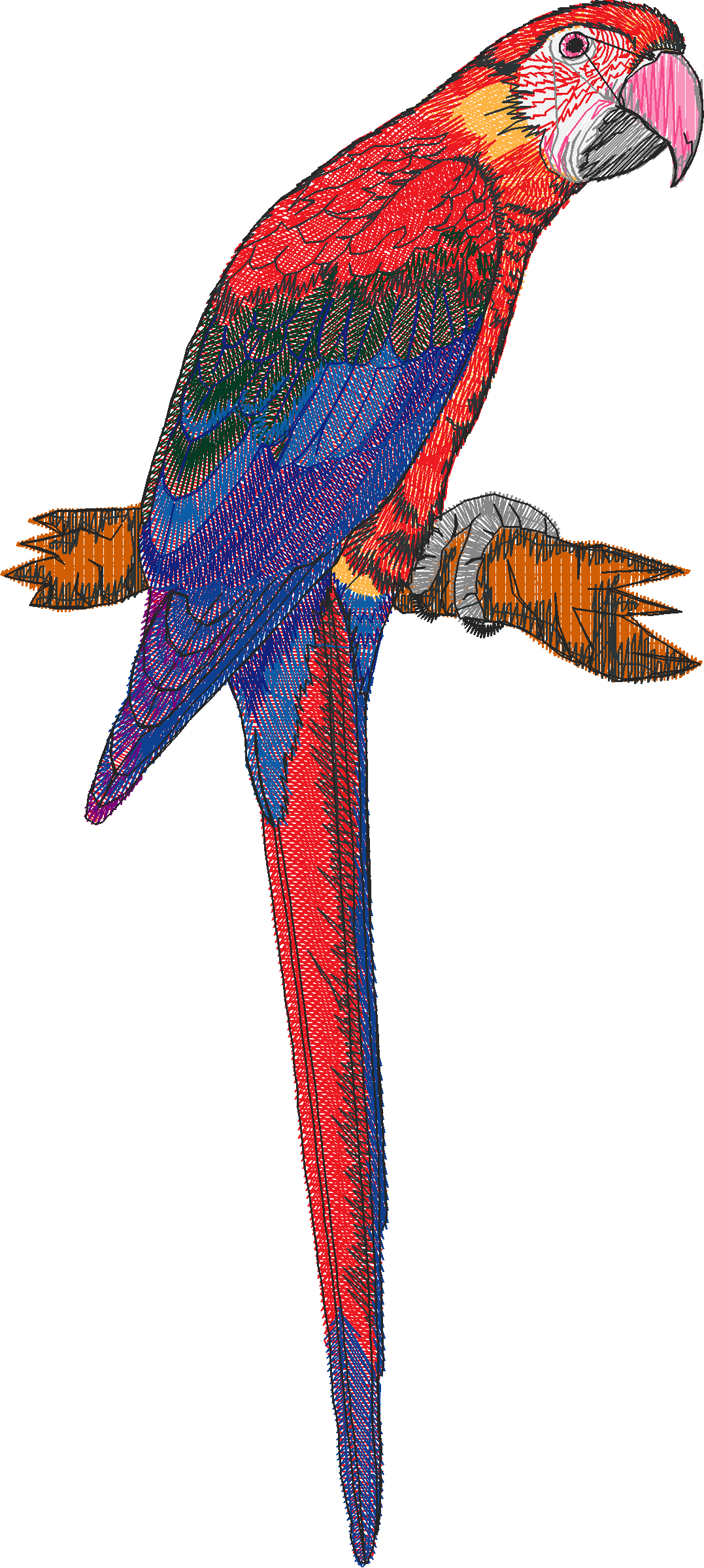 Birds 20 (33)