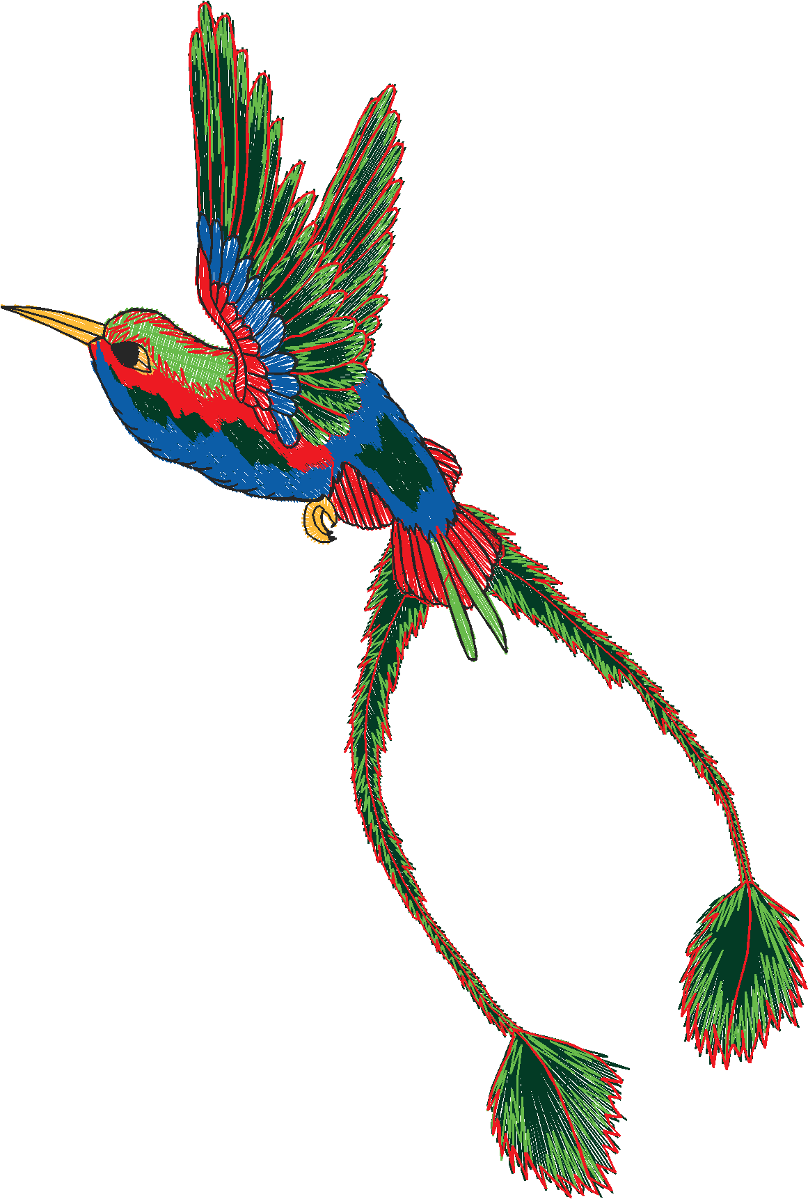 Birds 20 (39)