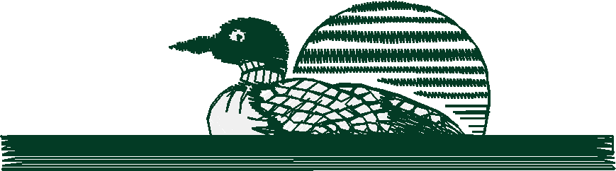 Birds 20 (54)