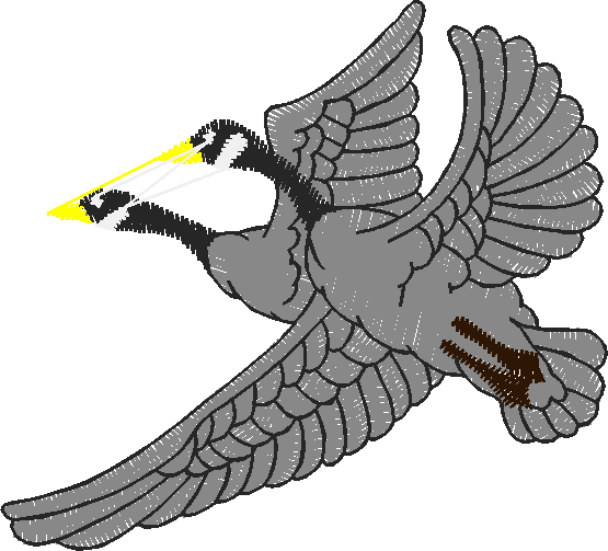 Birds 20 (60)