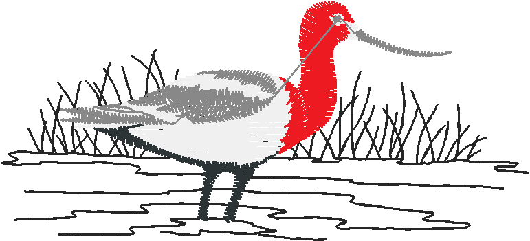 Birds 20 (66)