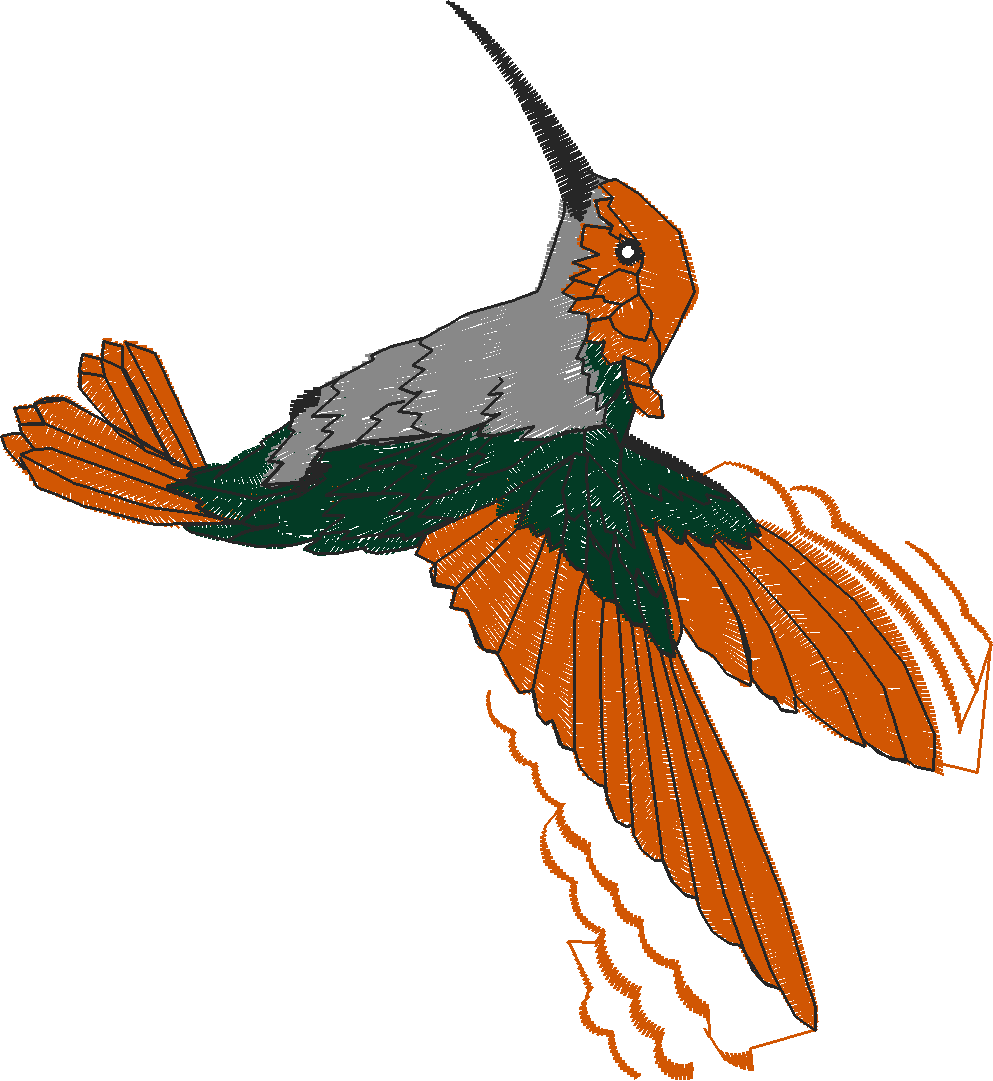 Birds 20 (78)