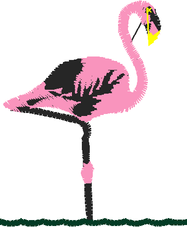 Birds 20 (86)