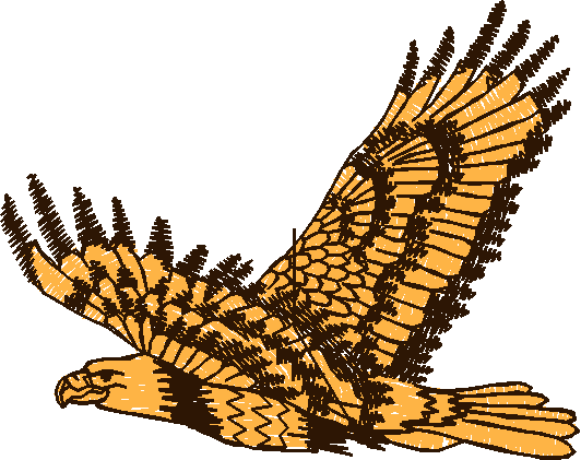 Birds 21 (36)