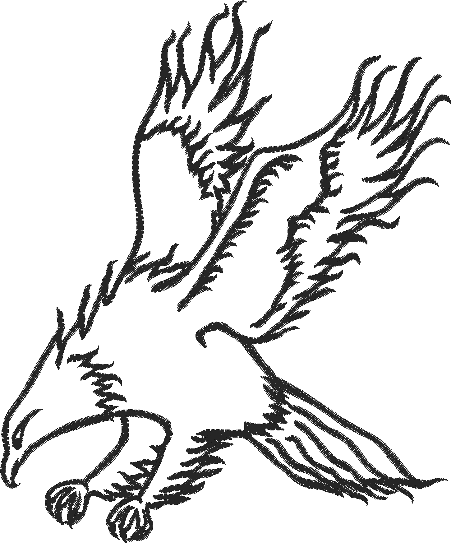 Birds 21 (37)
