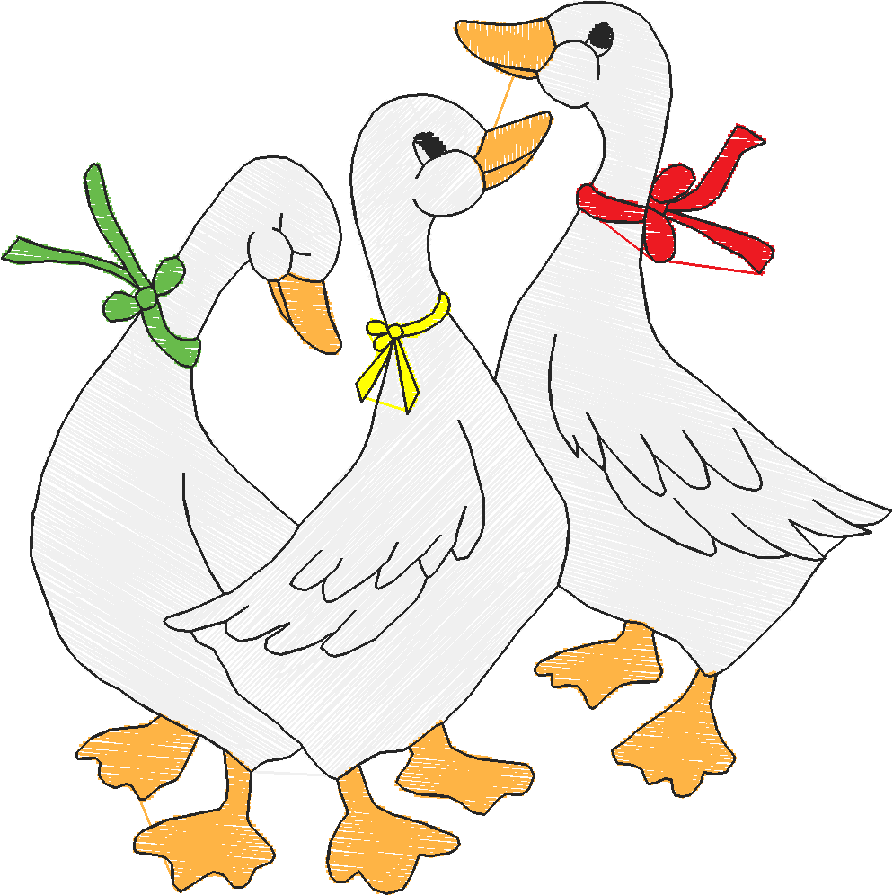 Birds 21 (61)