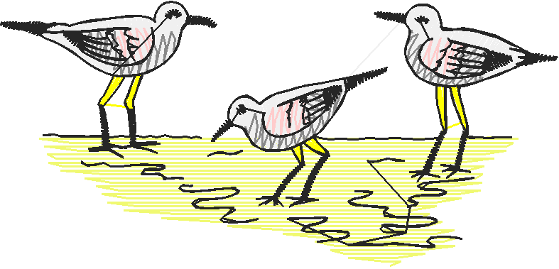 Birds 21 (69)
