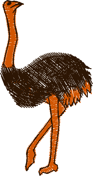 Birds 22 (10)