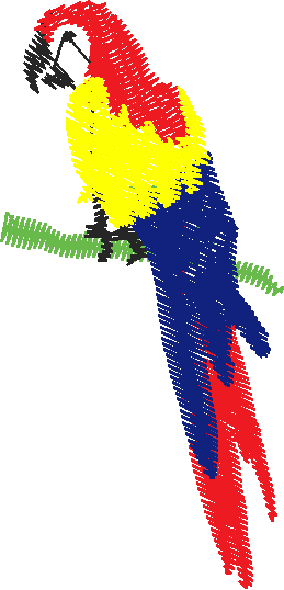 Birds 22 (24)