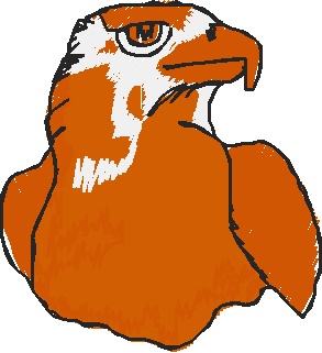 Birds 22 (29)