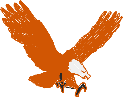 Birds 22 (30)